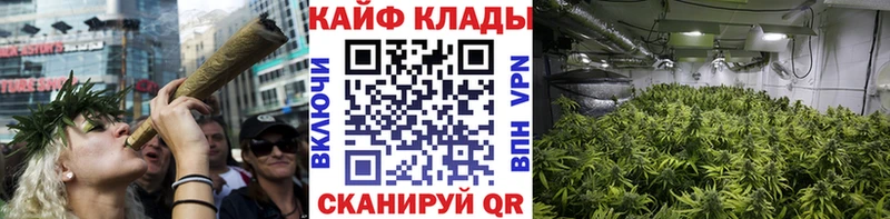 Где продают наркотики Юрга A PVP  Метадон  Псилоцибиновые грибы  АМФЕТАМИН  МАРИХУАНА  Гашиш  МЕФ 