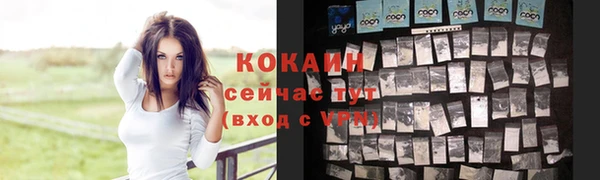 спайс Козельск