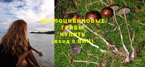 MESCALINE Козловка