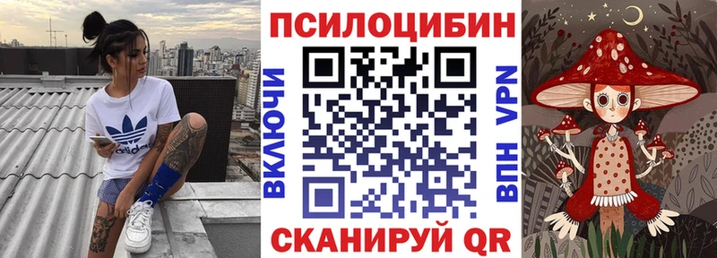 Псилоцибиновые грибы мицелий  наркотики  Юрга 